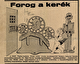 Kép